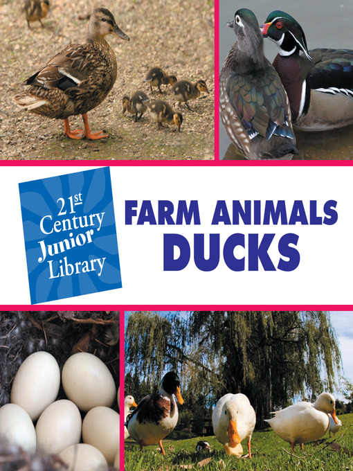 Cover image for Ducks